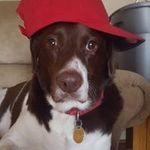 dillon patterson - @dillonpatterson1663 - Instagram