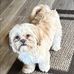 Doris Patterson Dillon - Facebook