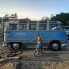 dillonpetersen36 - @dillonpetersen36 - TikTok