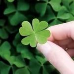 Dillon peterson - @pet_er5735 - Instagram