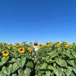 Dillon Peterson - @petersondillon - Instagram