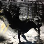 Dillon Peterson - @dillonpeterson14 - Instagram