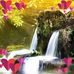 Dylan Roy - Facebook
