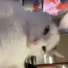 Dillon Sawyer - @dillon.sawyerr - TikTok