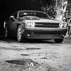 Dillan Shaw - @dillanshaw1 - TikTok