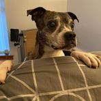 Dillon Shaw - Facebook