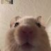 Dylan Slattery - Facebook