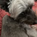 Dillon Stephenson - Facebook
