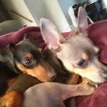 dillon terrell - @leahdterrell - Instagram