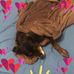 Dillon Walker - Facebook