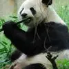 Dillon walker - @dillon.walker32 - TikTok