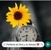 Dilma Lopez - Facebook
