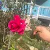 💕Dilma🙈 López 😻 - @deleonlopez09 - TikTok