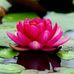 Dilma Martinez - Facebook