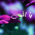 Dima Taha - Facebook