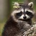 Dimas Lopez - Facebook
