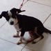 Dimas Padilla - Facebook