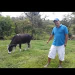 Dimas Eduardo Batista Sanchez - @dimaseduardobatista - Instagram