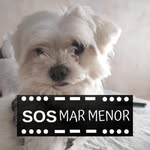 Dimas Sánchez Martínez - @dimas.sanchezmartinez.5 - Instagram