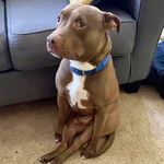 Dimitri Brown - @dimitri.brown.14 - Instagram