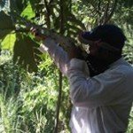 Dimitri Joseph - @dimitri.joseph.507 - Instagram