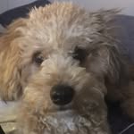 Dimitri Sandoval - @dimitri.sandoval - Instagram