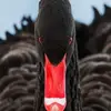 Dimitrios Spanos - @dimitrios.spanos2 - TikTok