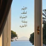 Dina Abdelkader - @dina.diana.12532364 - Instagram