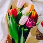 Dina Abdelkader - @dina.abdelkader.756 - Instagram