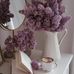 Dina Adham Akel - Facebook