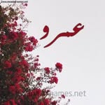 Dina Arfa - @dina.arfa.9 - Instagram