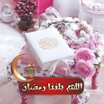Dina Arfa - @dina.arfa.50 - Instagram