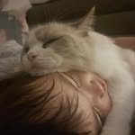 Dina Arfa Gnaydie - @baskot740 - Instagram