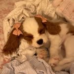 𝘿𝙞𝙣𝙖 ♡ - @dina.austin_ - Instagram