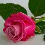 Dina Baker - @dina.baker78 - Instagram