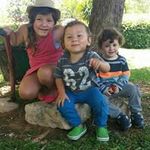 Dina Bendersky - @dinabendersky - Instagram