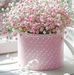 Dina Bloom - Facebook