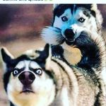 dina_bloom - @dina_bloom99 - Instagram