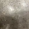 Manny - @dinahbond - TikTok