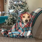 Donna Braverman - Facebook