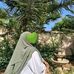 Dïna D'ore - Facebook