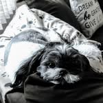 Dina Ellis - @ellis_dina - Instagram