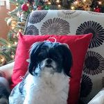 Dina Ellis - @dinaellis7422 - Instagram