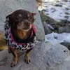 Dina Galvan - @user089312408 - TikTok