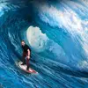 gregorydina4465 - @gregorydina4465 - TikTok