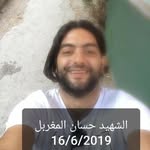 Dina Al Halawani - @dina.halawani - Instagram