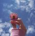 Dina Halawa - Facebook