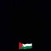 Dina Haleem - Facebook