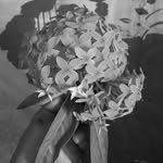 Dina Haque - @dina__haque - Instagram