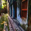 Dina Haque - @dina.haque6 - TikTok